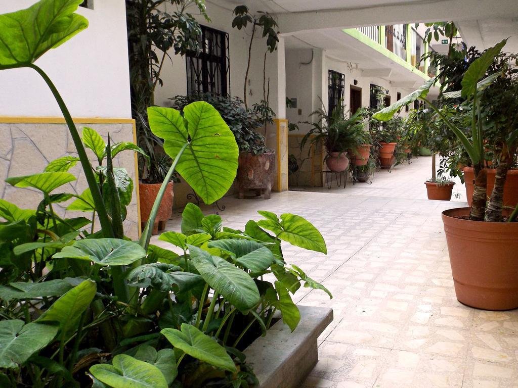 Hotel Posada Las Casas San Cristóbal de Las Casas المظهر الخارجي الصورة